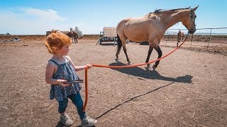 Adley RIDES SPIRIT the Horse [upl. by Rorke]