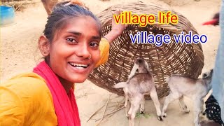 village life village video 😂ll sanjana vlog Rbl ll [upl. by Riatsila870]