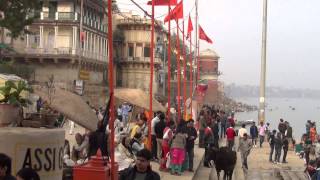 Varanasi by the ghats [upl. by Pietje]