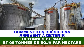 COMMENT LES BRÉSILIENS ARRIVENT À OBTENIR 18 TONNES DE MAÏS ET 06 TONNES DE SOJA PAR HECTARE [upl. by Serles678]