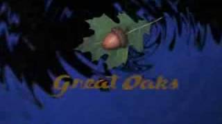 Great Oaks Logo 1996 [upl. by Seerdi872]