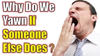 Why Do We Yawn If Someone Else Does IS YAWNING CONTAGIOUS [upl. by Nylhsa]