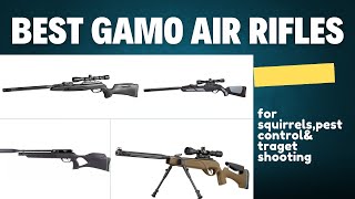 5 Best Gamo Air Rifles 2024 [upl. by Xaviera]