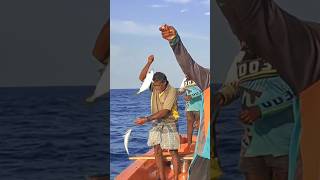 Mackerel Fish Catched Hand Line fishing [upl. by Gabbie108]