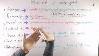 Knee joint biomechanics Movements at knee joint in Urdu Hindi [upl. by Swanhildas]