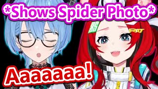 Baes Aussie Spider Moment Made Suisei Scream [upl. by Aehta811]