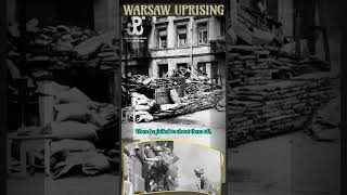 Warsaw Uprising 14 September 1944 Slaughter of civilians [upl. by Rayford547]