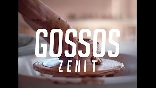 Gossos  Zenit Videoclip Oficial [upl. by Hanavas954]