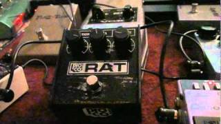 RAT small box 1984 distortionfuzz [upl. by Eyar512]