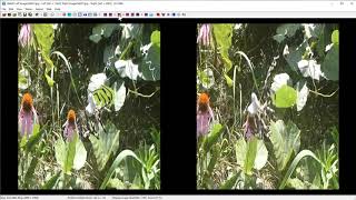 How to make LRRL movie from panasonic 3D1 movie with SPM [upl. by Dolphin]