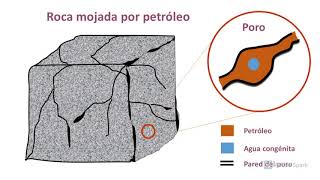 Mojabilidad y permeabilidades relativas [upl. by Yerbua]