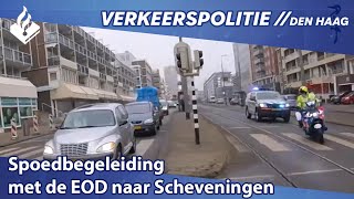 Spoedbegeleiding met de EOD naar Scheveningen [upl. by Aynor450]