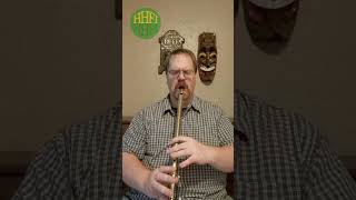 The Old Morpeth Rant  HHFI Brass Low D Whistle Short flute irishmusic tinwhistle folkmusic [upl. by Morgenthaler961]