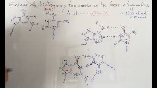 Enlace de Hidrógeno y Tautomería en Bases Nitrogenadas [upl. by Greenwald737]