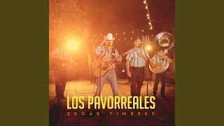 Los Pavorreales [upl. by Switzer]