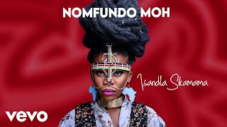 Nomfundo Moh  Isandla Sikamama Visualizer [upl. by Etnemelc]