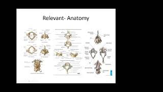 Cervical Spondylotic Myelopathy [upl. by Pegeen]