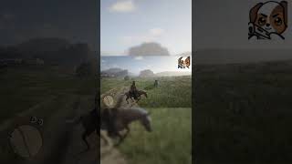 Mule kicked by a horse gaming RDR2 [upl. by Doble]