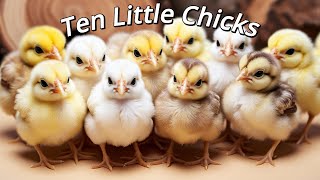 Ten Little Eggs  Fun Kids Song with Baby Chicks [upl. by Brose]