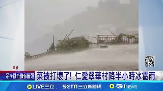 菜被打壞了 仁愛翠華村降半小時冰雹雨 冰雹雨毀高山農作 農民悶喊quot世界末日了吧quot│記者 吳崑榆 張峻棟 楊晉│【新聞一把抓】20240627│三立新聞台 [upl. by Zoi]