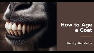 How to Determine the Age of a Goat by Its Teeth A Step by Step Guide [upl. by Igal90]