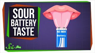 Why Do Batteries Taste Sour [upl. by Jonina]