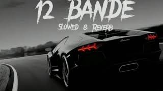 12 BANDE SONG SLOWEDREVERB viral youtubeshorts sonymusic tseries youtube [upl. by Lach]