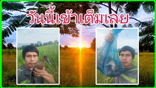 ปล่อยนกเป็นน้ำ กลับคืนสู่ธรรมชาติ อนุรักษ์ไว้ให้ลูกหลานครับ [upl. by Nallaf]