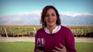 Zuccardi Serie A Malbec  Recorré Argentina [upl. by Aiym206]