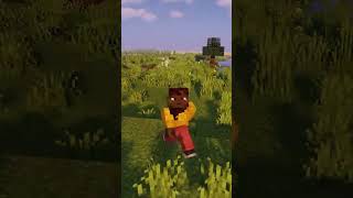 Minecraft Mysterious Disc 11 😥 [upl. by Uile]