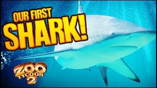 Zoo Tycoon 2 The Aquarium  REEF SHARKS amp WOBBEGONGS Aquarium Part 6 [upl. by Einre]