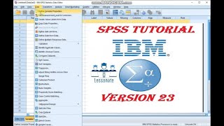 SPSS Tutorial for Beginners  Questionnaire Analysis in Urdu Hindi  Lessonate  2020 [upl. by Ecyoj270]