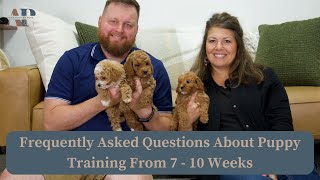 Most Asked Puppy Training Questions From 7  10 Weeks [upl. by Haywood]