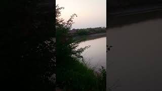 Bara Dam Jahan Khali Pani Aur Fish Ki Aabaadi Hai [upl. by Kamin]