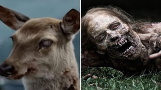 5 CIERVOS ZOMBIES CAPTADOS EN VIDEO Y VISTOS EN LA VIDA REAL [upl. by Jemmy]