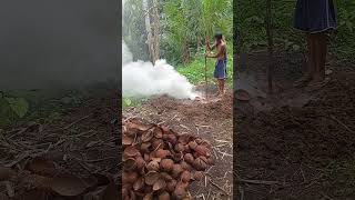 Charcoal making from coconut shell travel hogfarmers 🤗🤗🤗🤗 [upl. by Llerad529]