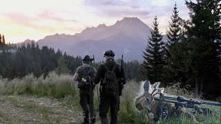 Bergjagd Juli 2022  Jagd auf Rotwild und Bergböcke [upl. by Brodeur]