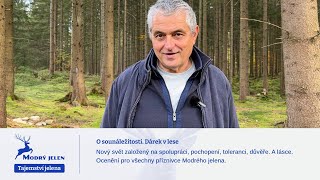 O sounáležitosti Dárek v lese [upl. by Eisak210]