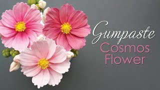 How to make a Gumpaste Cosmos Flower Tutorial [upl. by Barr]