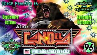 🔥 🔥 LA CUMBIA DE LOS PAJARITOS 🔥 🔥 ORQ MEXICANA DJ OSITO MIX 🔥 🎶 😎 [upl. by Comstock]