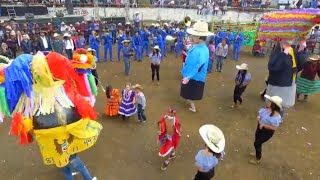 VIDEO EL SON DE LA AMACHONA BANDA MONARCA [upl. by Blim203]