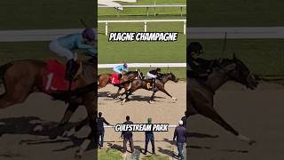 Plagne Champagne amp Drayden Van Dyke closing strong amp winning race 7 for JSisterson GulfstreamPark [upl. by Eecats]