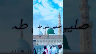 New very very beautiful ya Rabbal alamin🌹♥️short video [upl. by Ahseiat364]