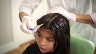 Full Service Lice Removal Treatment  Lice Clinics of America [upl. by Hildy]