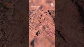 Drone captures worlds largest continuous set of dino tracks [upl. by Suravart]