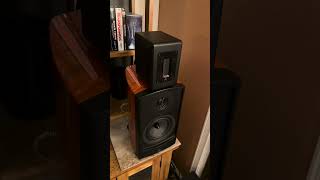 Aperion Audio Verus V5B Bookshelf Speaker shorts speaker loudspeaker hifi stereo [upl. by Mala]