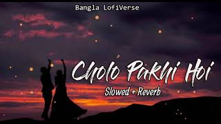 Cholo Pakhi Hoi Slowedreverb  Arman Malik  Palak Muchhal  Shaan  Bangla LofiVerse [upl. by Annal69]