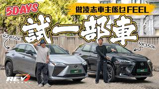 Lexus RZ450e Luxury amp NX350h FSport 揸足五日！深度詳細體驗 車主角度測試 凌志SUV全方位評測 REVchannel [upl. by Aerdnek]