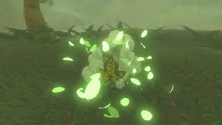 Korok seeds  Calora Lake  Faron Tower 52  Zelda BOTW [upl. by Dhiman]