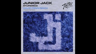 HOUSE Junior Jack  Stupidisco David Penn Extended Remix [upl. by Anileuqcaj210]